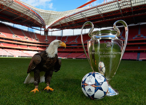 更多战术灵 更多战术灵