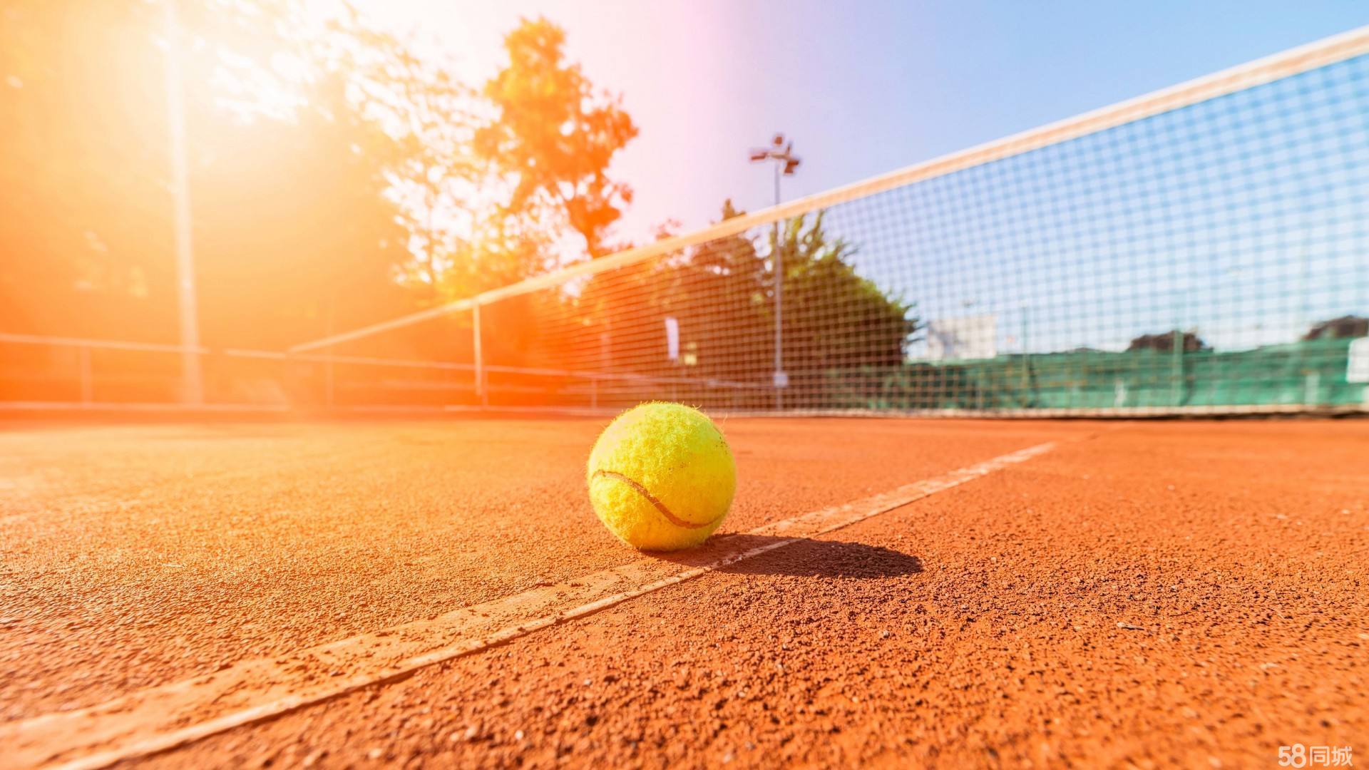 惊天鱼跃 惊天鱼跃