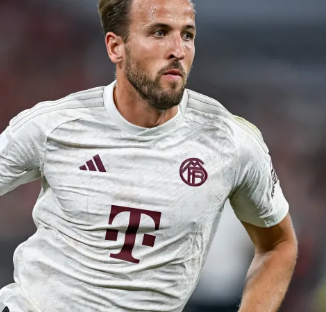 他的理念是 他的理念是