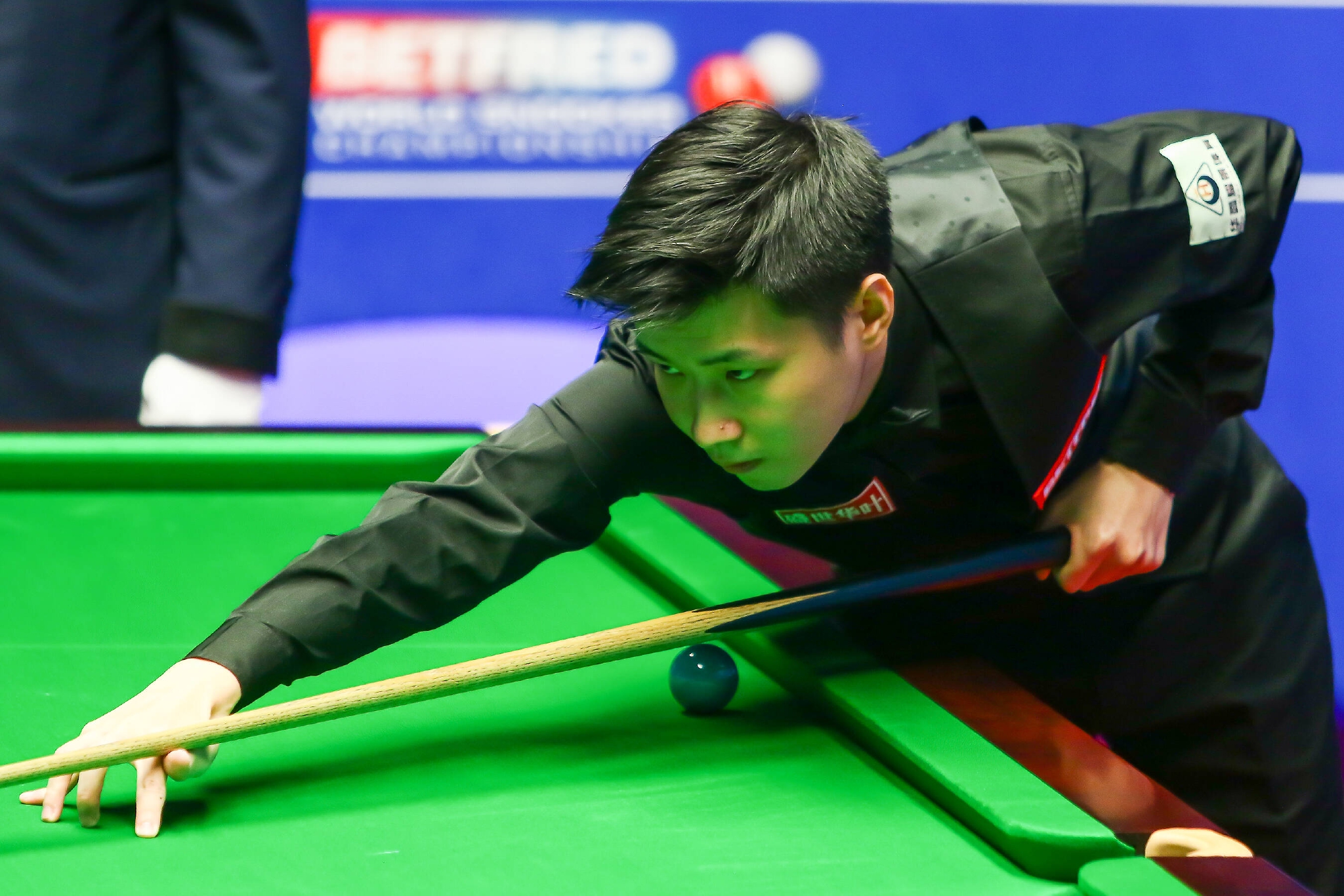 猛犸成为焦 猛犸成为焦