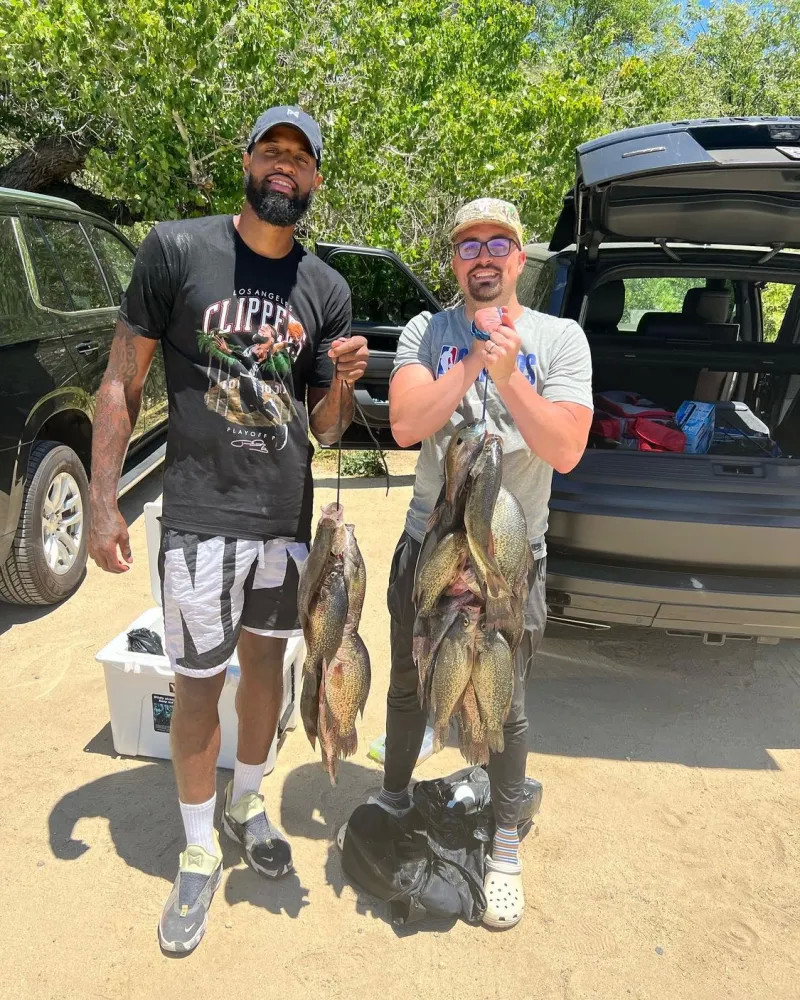 形成动态报 形成动态报